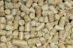 Cadbury biomass boiler costs